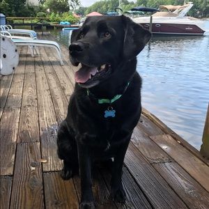 Meet your Posher, Kevin